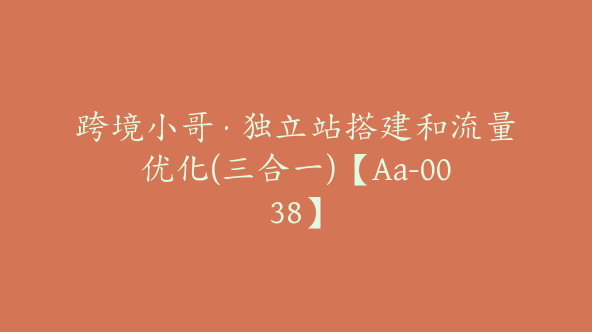 跨境小哥·独立站搭建和流量优化(三合一)【Aa-0038】