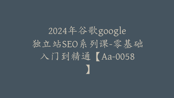 2024年谷歌google独立站SEO系列课-零基础入门到精通【Aa-0058】