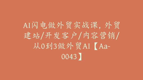 AI闪电做外贸实战课，外贸建站/开发客户/内容营销/从0到3做外贸AI【Aa-0043】