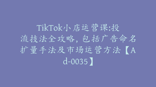 TikTok小店运营课:投流技法全攻略，包括广告命名扩量手法及市场运营方法【Ad-0035】