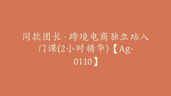 同款团长·跨境电商独立站入门课(2小时精华)【Ag-0110】