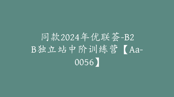 同款2024年优联荟-B2B独立站中阶训练营【Aa-0056】