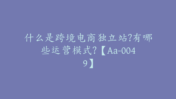 什么是跨境电商独立站?有哪些运营模式?【Aa-0049】