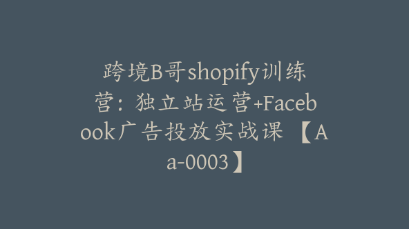 跨境B哥shopify训练营：独立站运营+Facebook广告投放实战课 【Aa-0003】