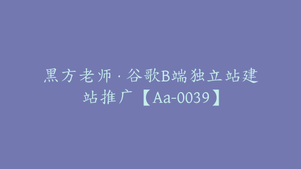 黑方老师·谷歌B端独立站建站推广【Aa-0039】