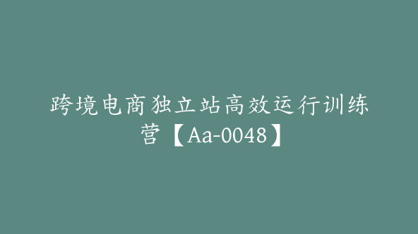 跨境电商独立站高效运行训练营【Aa-0048】