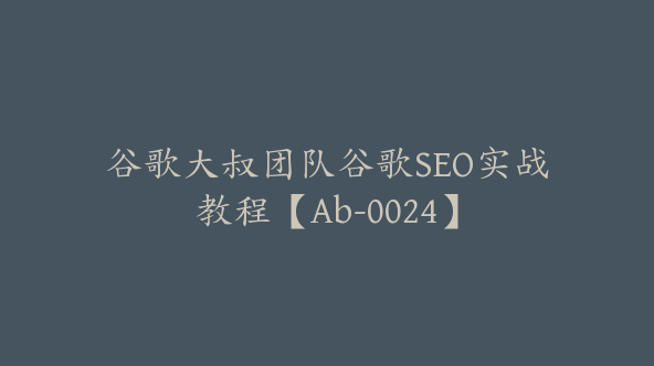 谷歌大叔团队谷歌SEO实战教程【Ab-0024】