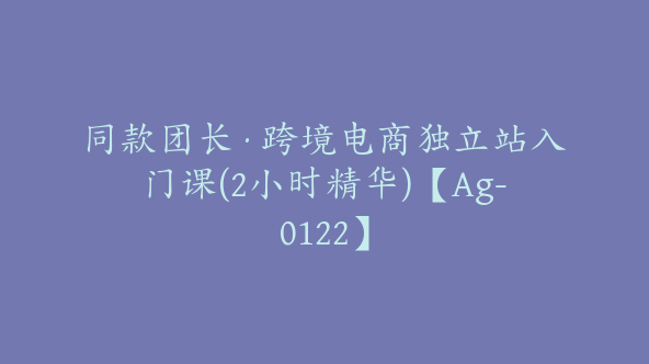 同款团长·跨境电商独立站入门课(2小时精华)【Ag-0122】