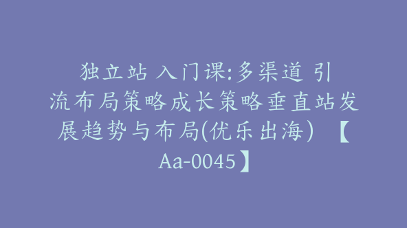 独立站 入门课:多渠道 引流布局策略成长策略垂直站发展趋势与布局(优乐出海）【Aa-0045】