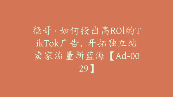 稳哥·如何投出高ROl的TikTok广告，开拓独立站卖家流量新蓝海【Ad-0029】