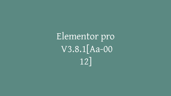 Elementor pro V3.8.1[Aa-0012]