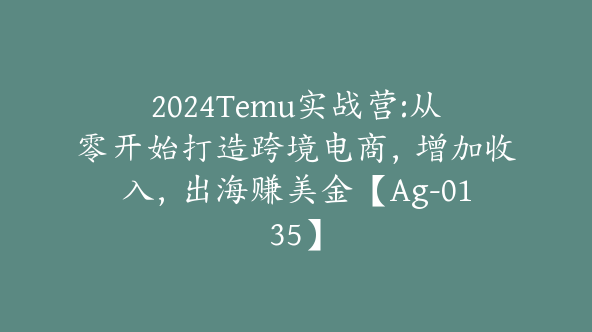 2024Temu实战营:从零开始打造跨境电商，增加收入，出海赚美金【Ag-0135】