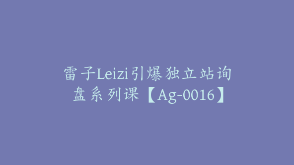 雷子Leizi引爆独立站询盘系列课【Ag-0016】