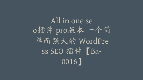 All in one seo插件 pro版本 一个简单而强大的 WordPress SEO 插件【Ba-0016】